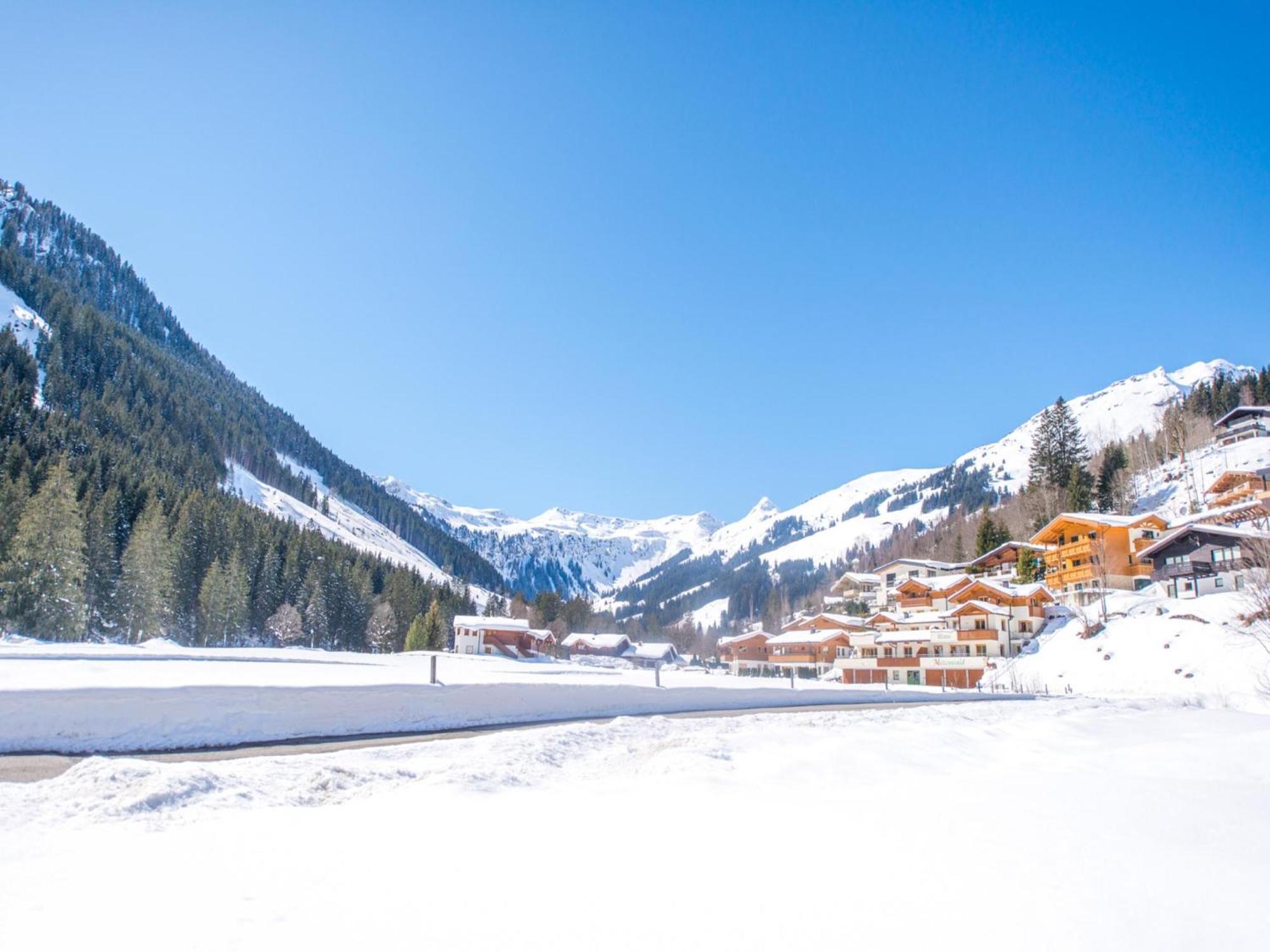 Chalet Sanna Hinterlengau ザールバッハ・ヒンターグレム エクステリア 写真
