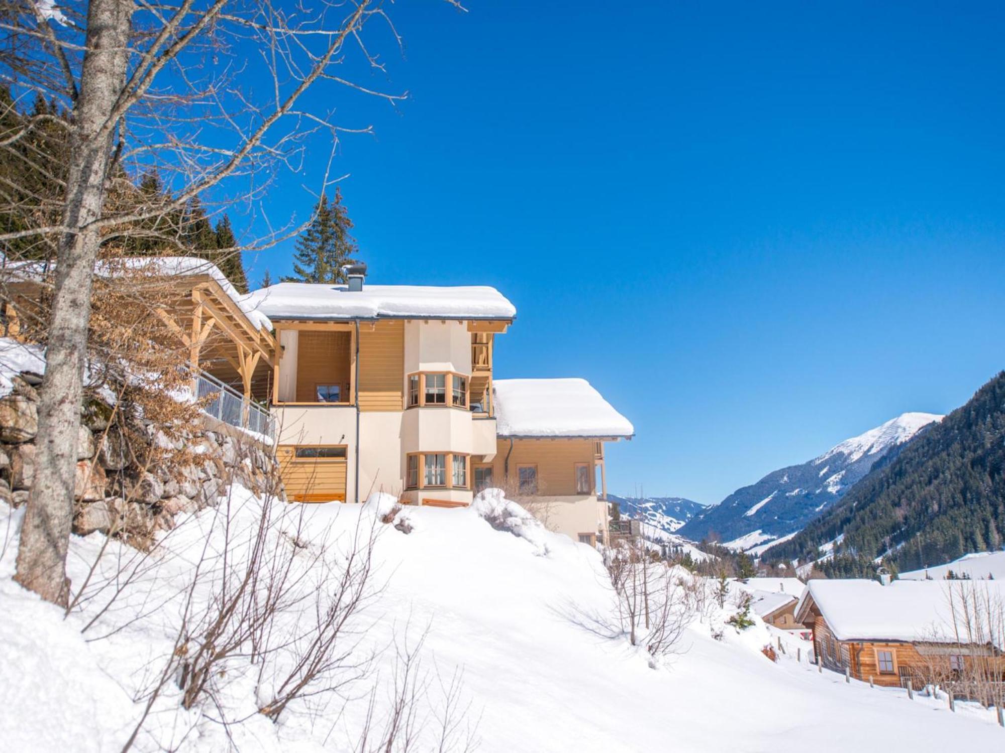 Chalet Sanna Hinterlengau ザールバッハ・ヒンターグレム エクステリア 写真
